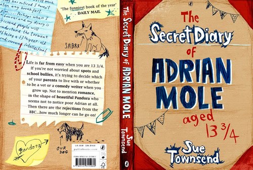 Bookjacket_amole