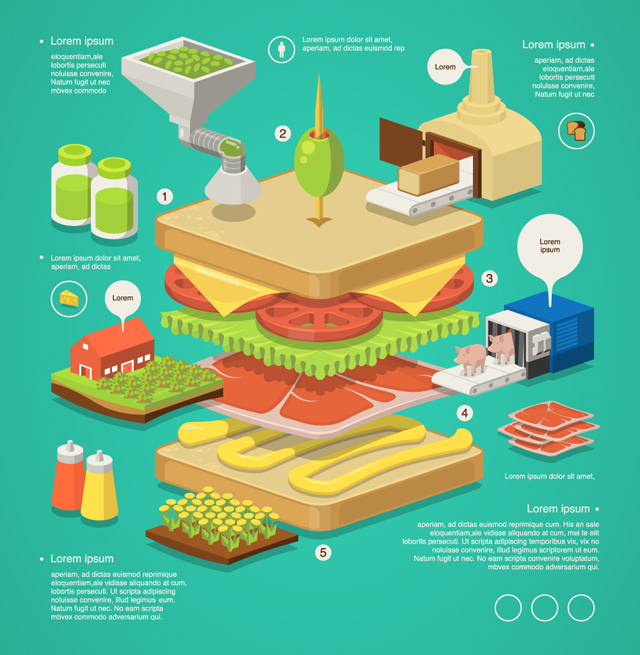Sandwich Infographic